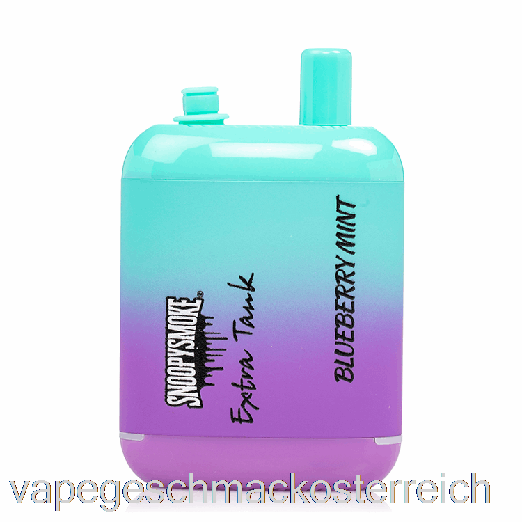 Snoopy Smoke Extra Tank 2 15000 Einweg-Blueberry-Mint-Vape-Geschmack